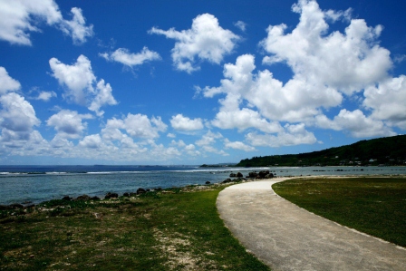 太平洋戦争国立歴史公園から海を眺める様子